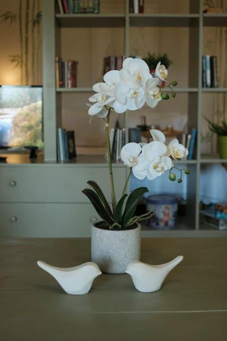 Apartment With Garden In Thessaloniki. ภายนอก รูปภาพ